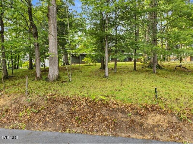 107 Oak Lane, Johnson City, TN 37604