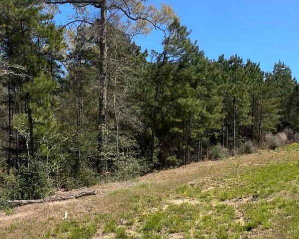 16283 Ridge Oak Road, Willis, TX 77378