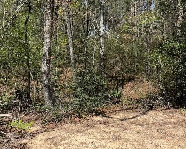 16283 Ridge Oak Road, Willis, TX 77378