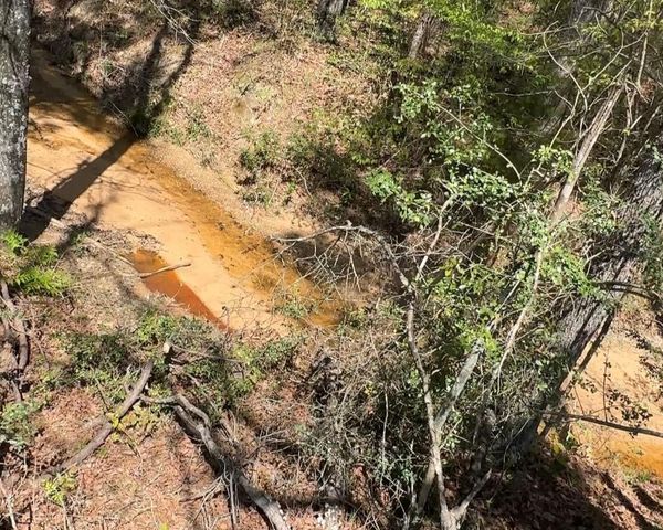 16283 Ridge Oak Road, Willis, TX 77378