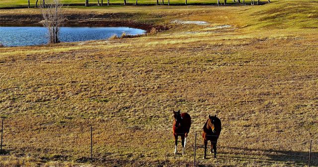 3283-30 Fm 2562 Road, Anderson, TX 77830