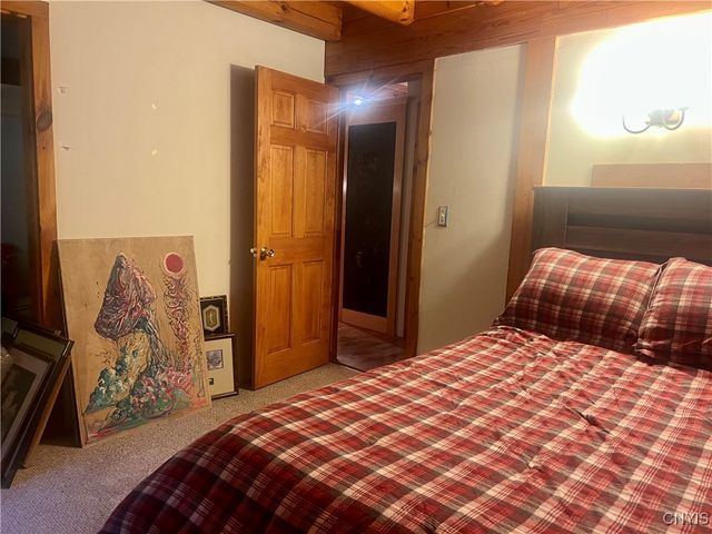 2555 Carson Road, Virgil, NY 13045