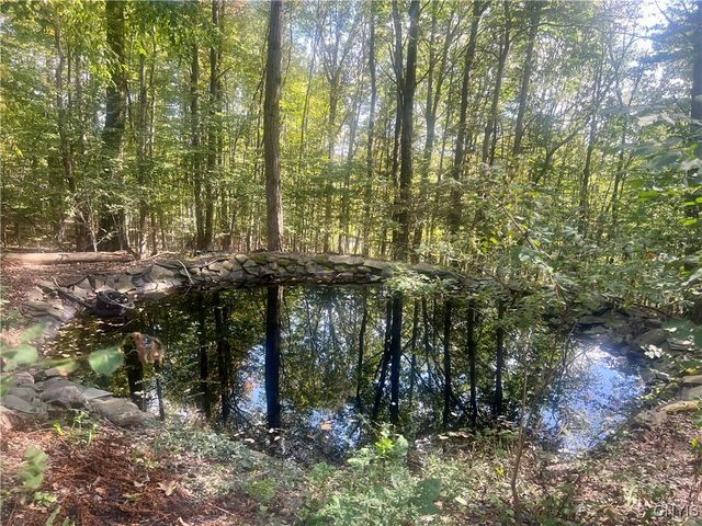 2555 Carson Road, Virgil, NY 13045