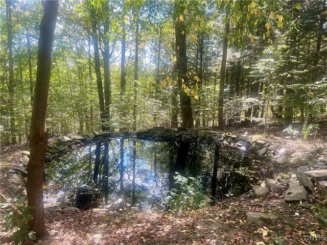 2555 Carson Road, Virgil, NY 13045