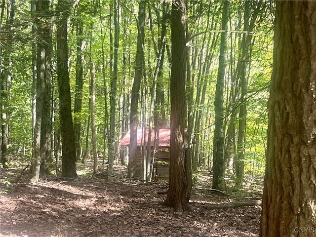 2555 Carson Road, Virgil, NY 13045