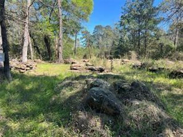 3310 Wilderness Way, Montgomery, TX 77316