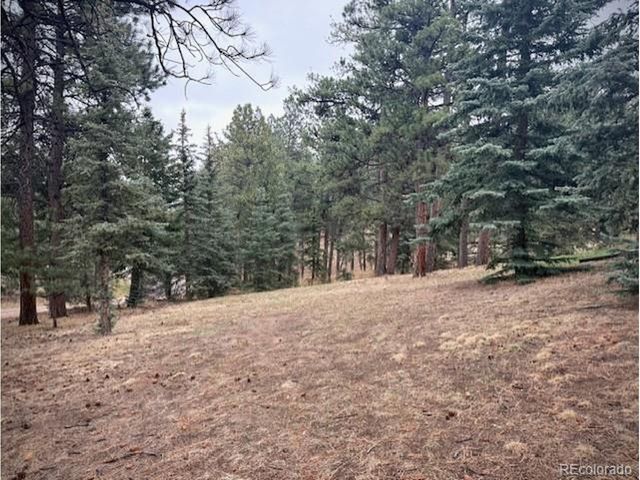 3518 S Saddle Rd, Evergreen, CO 80439