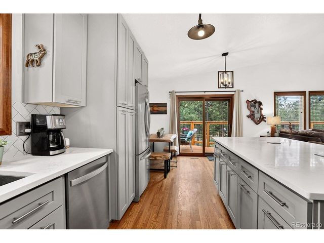 778 Gunsmoke Dr, Bailey, CO 80421