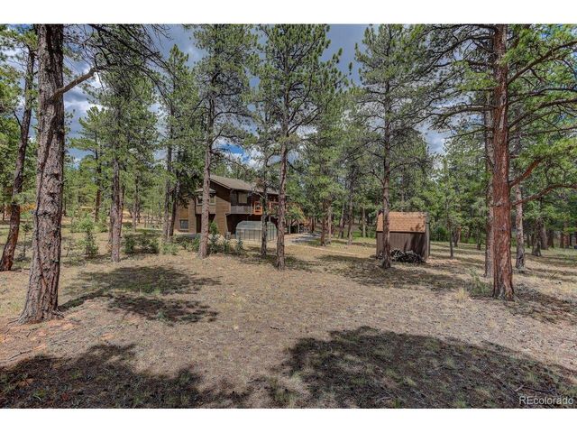 778 Gunsmoke Dr, Bailey, CO 80421