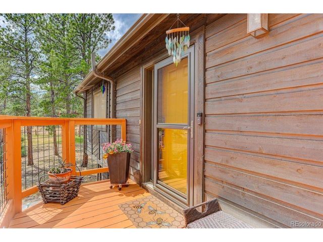 778 Gunsmoke Dr, Bailey, CO 80421