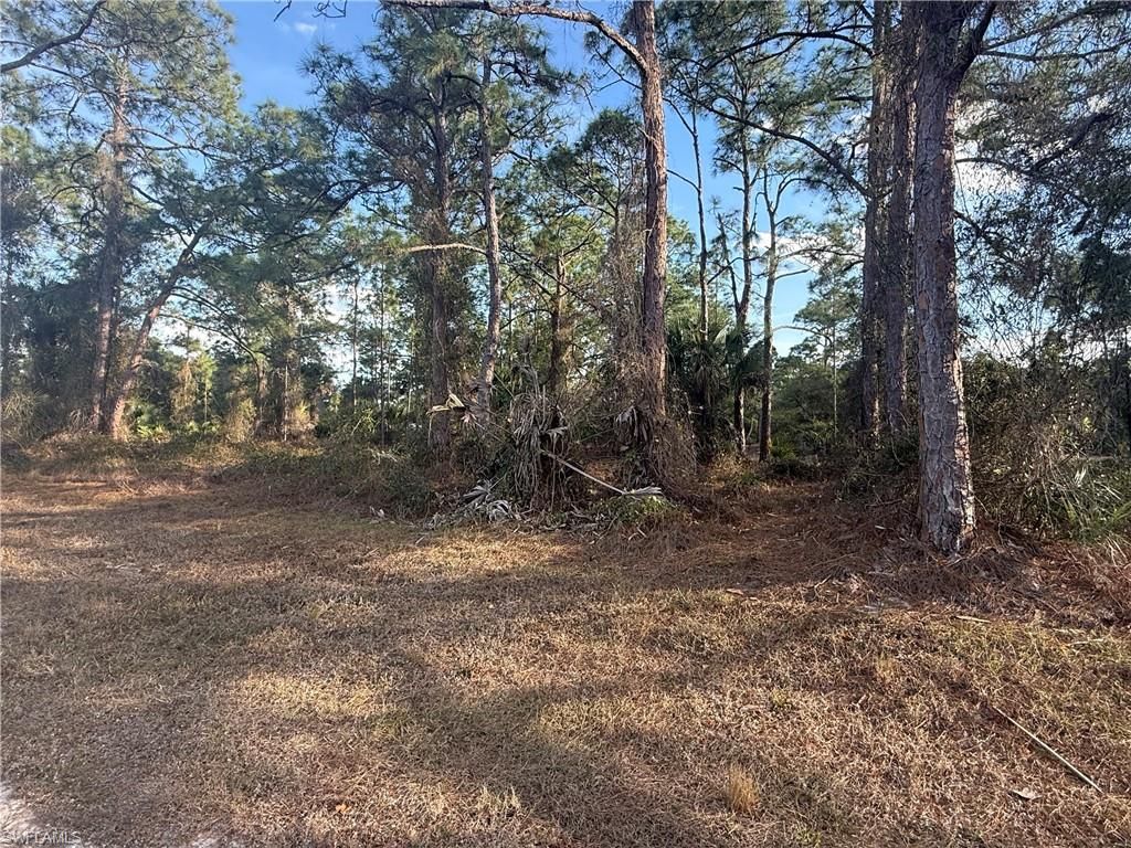 5010 Squaw LN, LABELLE, FL 33935 — photo 4