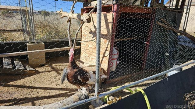 59660 La Cima, Anza, CA 92539