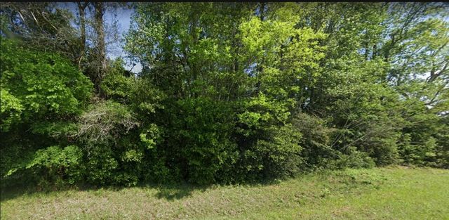 0 Johnnie Cash Road, Livingston, TX 77351