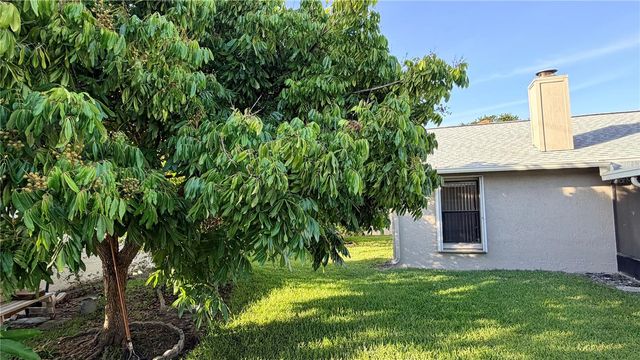 11803 CLASSIC LAKE WAY, Tampa, FL 33635