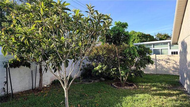 11803 CLASSIC LAKE WAY, Tampa, FL 33635