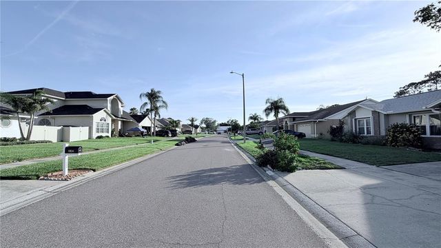 11803 CLASSIC LAKE WAY, Tampa, FL 33635