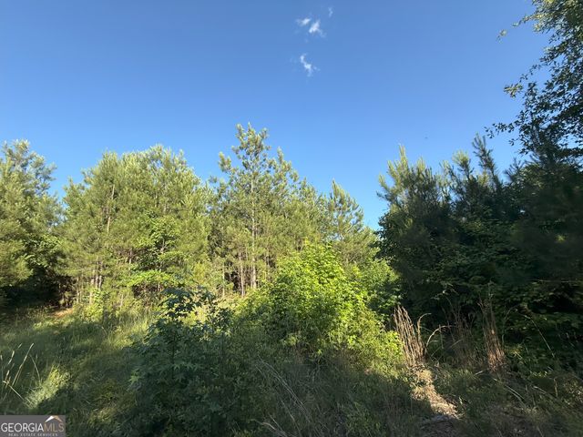 3 Emmaus Drive, Elberton, GA 30635