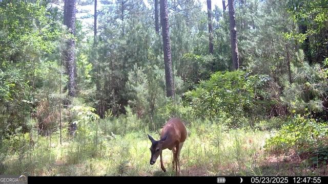 3 Emmaus Drive, Elberton, GA 30635