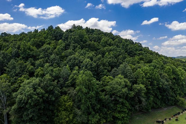 1636 White Oak Road, NW, Cleveland, TN 37312
