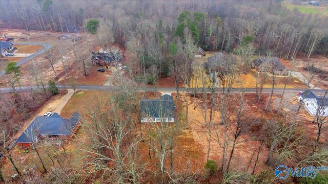303 Chambers Road, Arab, AL 35016