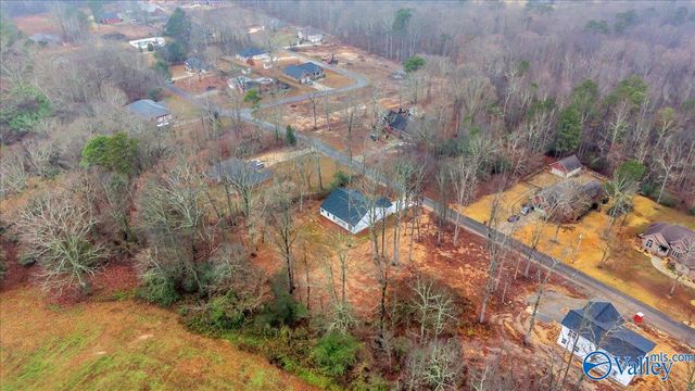 303 Chambers Road, Arab, AL 35016