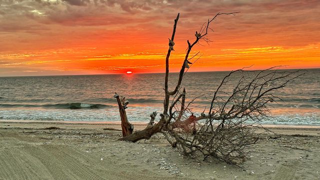 19 Lost Village Trail, Edisto Beach, SC 29438