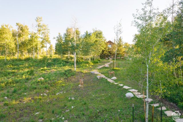 11042 E WILD ELK MDW, Heber City, UT 84032