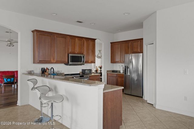 10048 Cleghorn Drive, San Antonio, FL 33576