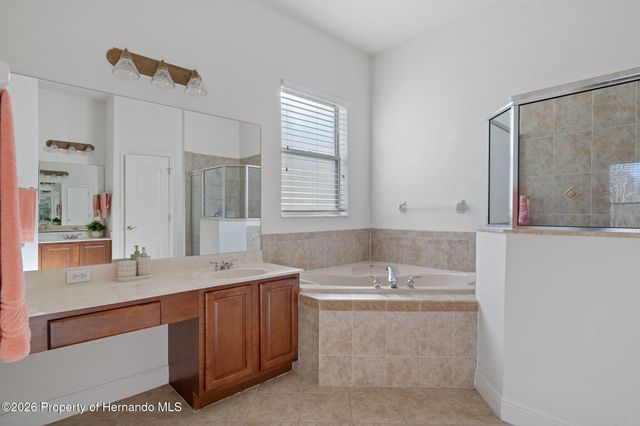 10048 Cleghorn Drive, San Antonio, FL 33576