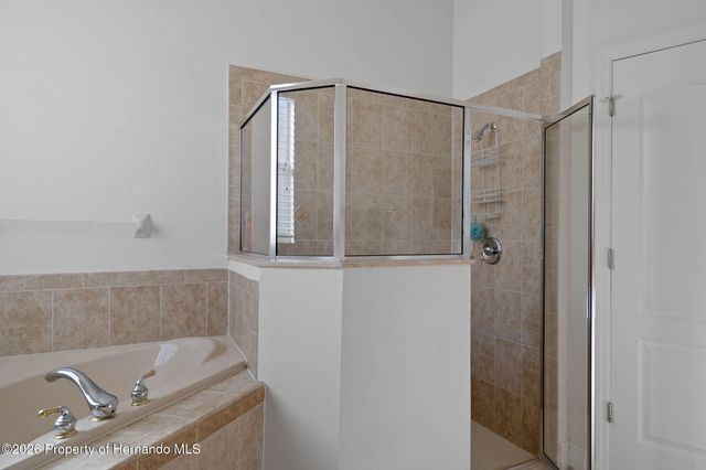 10048 Cleghorn Drive, San Antonio, FL 33576