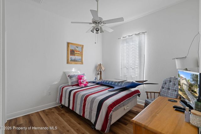 10048 Cleghorn Drive, San Antonio, FL 33576