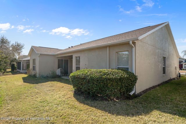10048 Cleghorn Drive, San Antonio, FL 33576