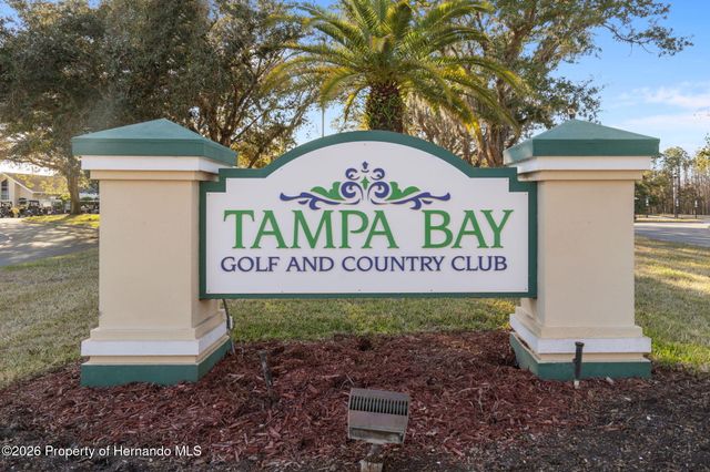 10048 Cleghorn Drive, San Antonio, FL 33576