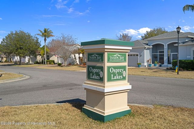 10048 Cleghorn Drive, San Antonio, FL 33576