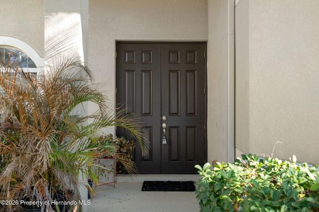 10048 Cleghorn Drive, San Antonio, FL 33576