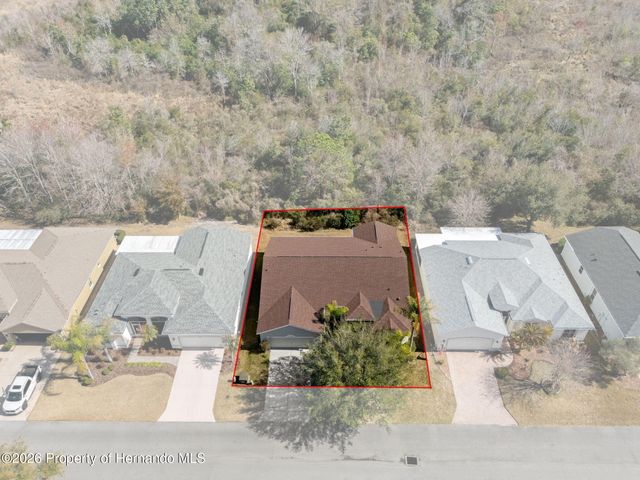 10048 Cleghorn Drive, San Antonio, FL 33576