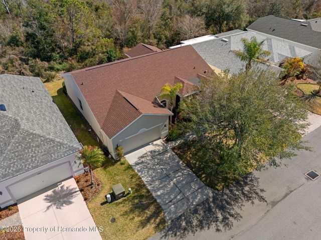 10048 Cleghorn Drive, San Antonio, FL 33576