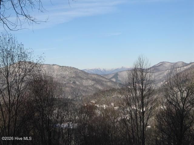 820 Chimney Ridge Drive, Topton, NC 28781