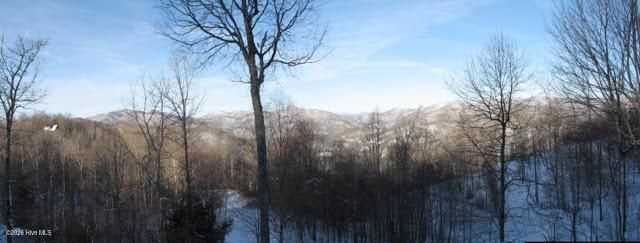 820 Chimney Ridge Drive, Topton, NC 28781