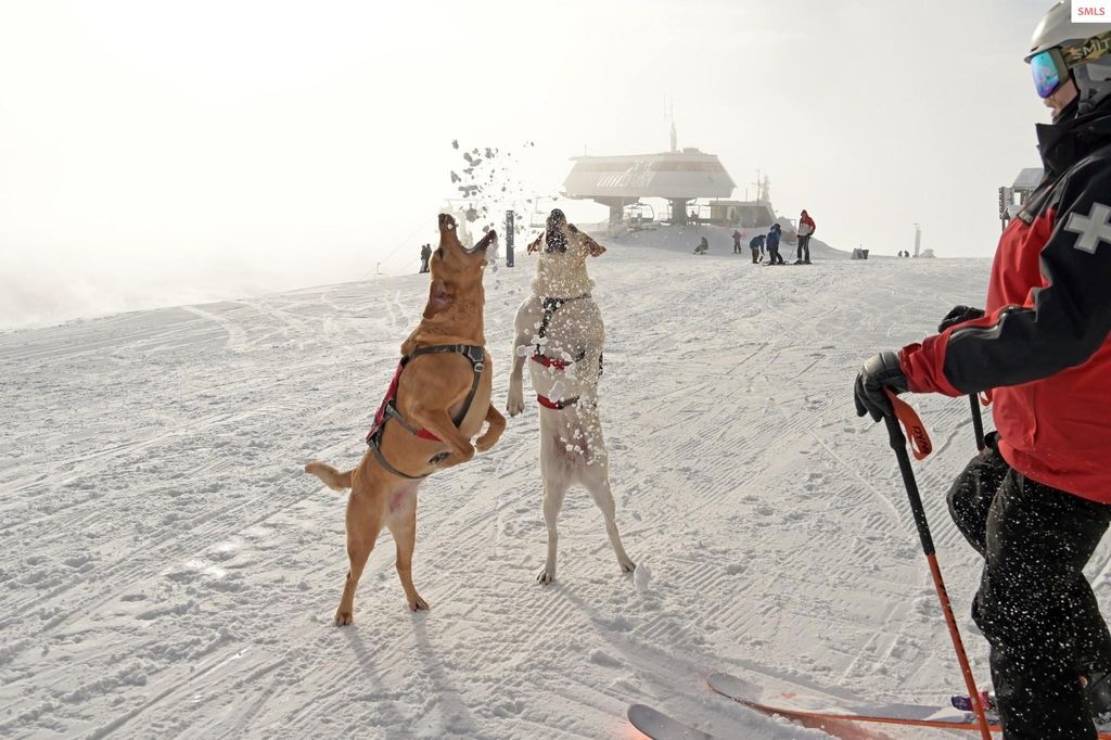 227 Crystal Springs Rd #3, Sandpoint, ID 83864 photo 60