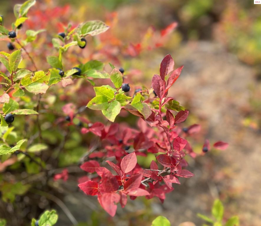 227 Crystal Springs Rd #3, Sandpoint, ID 83864 photo 84