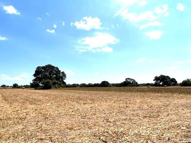 38 acres Shaws Bend Rd, Columbus, TX 78934