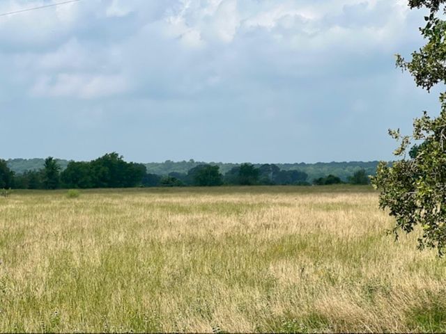 38 acres Shaws Bend Rd, Columbus, TX 78934
