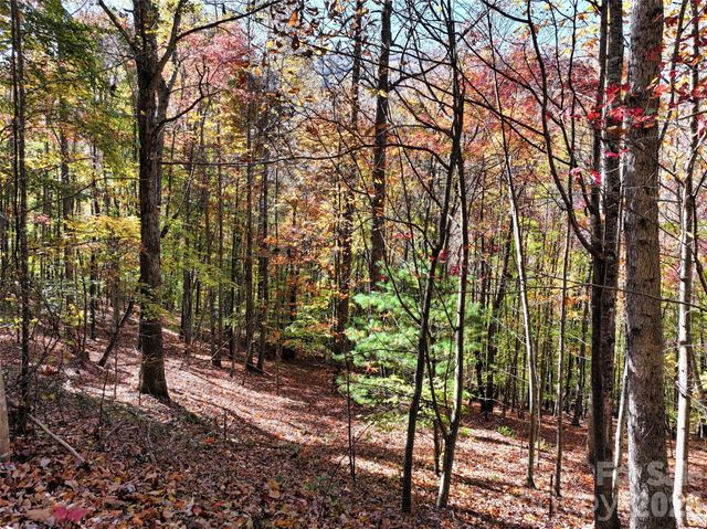829 Stoney Stream Lane, Arden, NC 28704