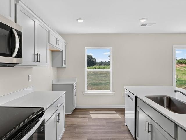 1080 Gagmon Drive, Wellford, SC 29385
