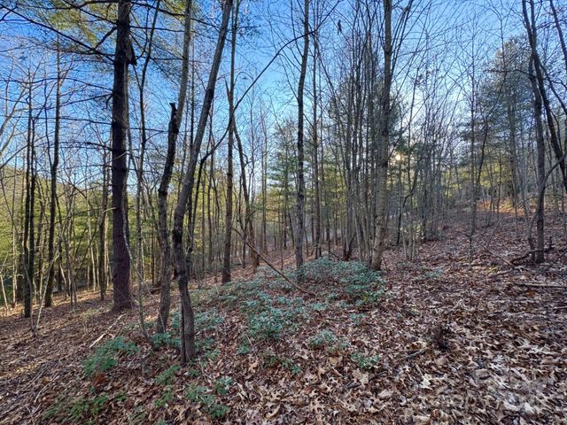 0000 Pebble Stone Trail 46, Hendersonville, NC 28792