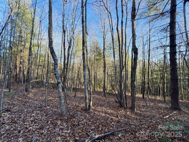 0000 Pebble Stone Trail 46, Hendersonville, NC 28792