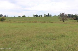 1163 County Road 461, Englewood, TN 37329