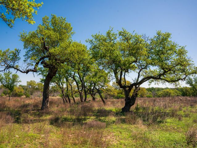 000 Serenity Springs RNCH, Johnson City, TX 78636