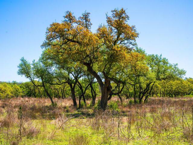 000 Serenity Springs RNCH, Johnson City, TX 78636